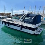 Sea Ray EC340 (1989)